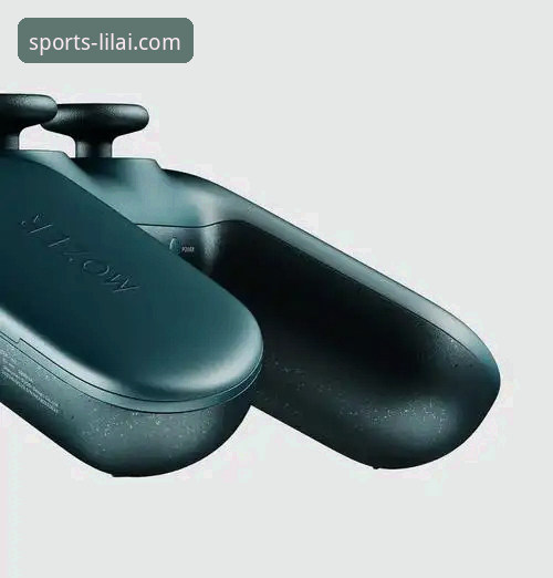 资深玩家深度剖析：利来体育官网评价与创新体验探索